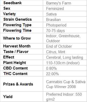 SEE001: Utopia Haze Feminized Seeds (Barney&#39;s Farm) 3 X Feminized seeds - Puff.co.za
