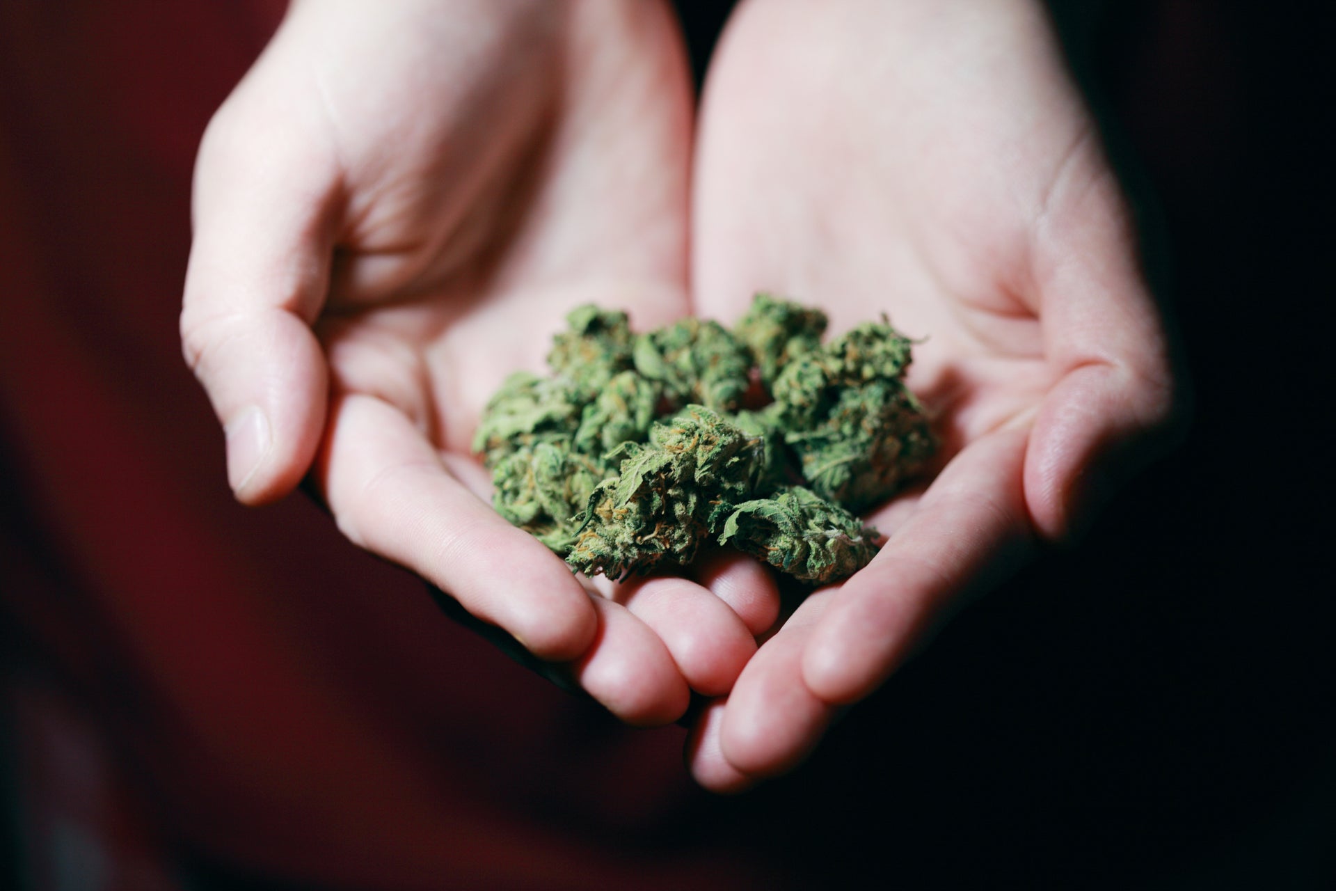 How to Grind Weed Properly | blog | puff.co.za