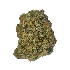 Forbidos - Puff.co.za