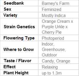 SEE008: Orange Sherbert Feminized Seeds (Barney&#39;s Farm) 3 X Feminized Seeds - Puff.co.za