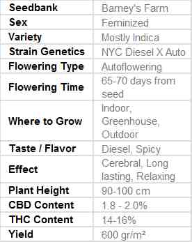 SEE009: NYC Diesel Auto Feminized Seeds (Barney&#39;s Farm) 5 X Auto Flowering Seeds - Puff.co.za