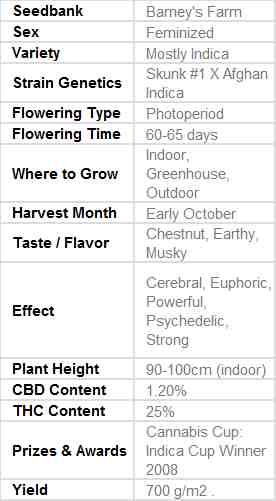 SEE010: LSD Feminized Seeds (Barney's Farm) 5 X Feminized seeds - Puff.co.za