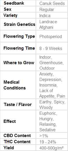 SEE017: Afghan Hash Plant Regular Seeds (Canuk Seeds) - ELITE STRAIN 10 X Regular seeds - Puff.co.za